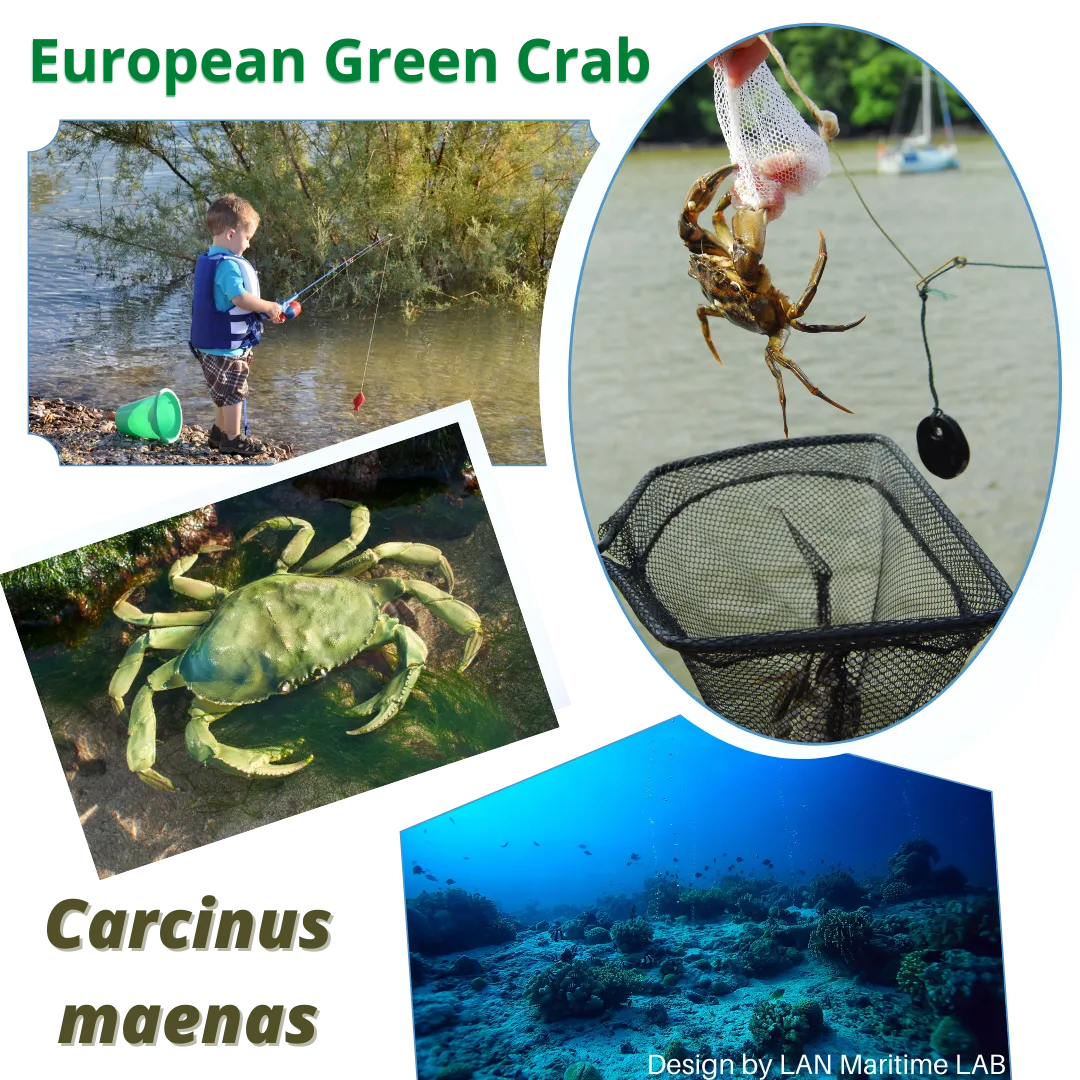 Lan Maritime Lab | Ballast Water Analyses | Brasil