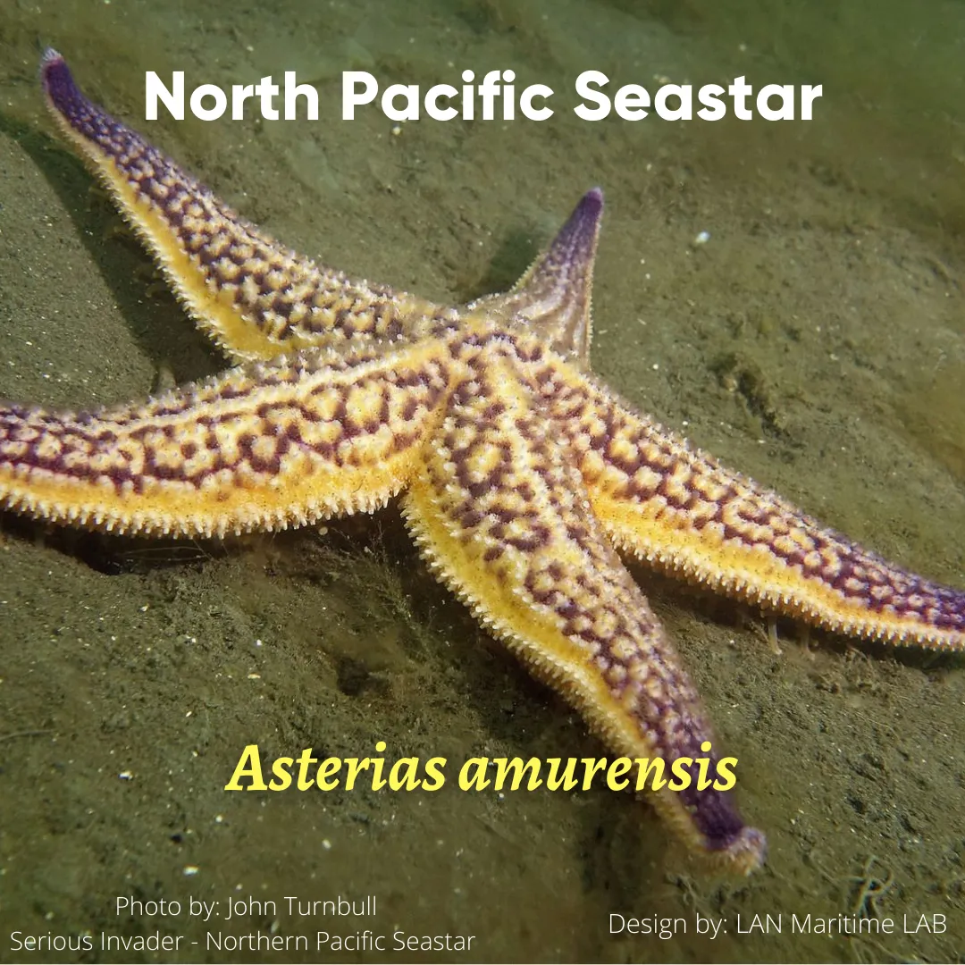 Lan Maritime Lab | Ballast Water Analyses | Brasil